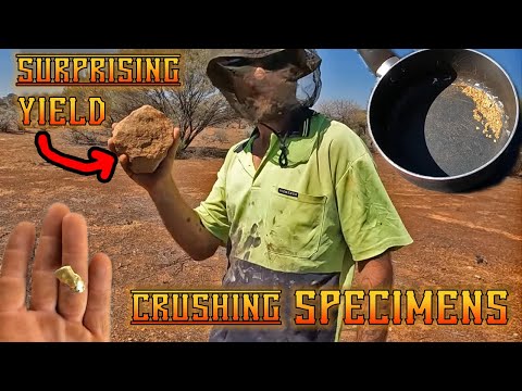 CRUSHING and MELTING SPECIMEN GOLD to end our first trip of the year!