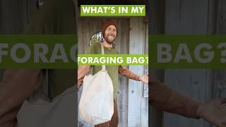 What’s In My Foraging Bag?