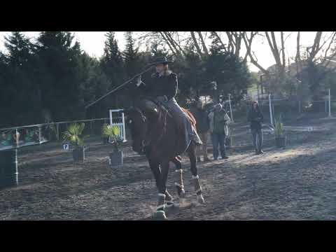 Prova de velocidade - Picadeiro Quinta da Horta