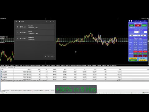 Video AlgoMania Pro Scalper