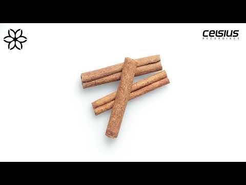 Audioholic - Cinnamon Roller
