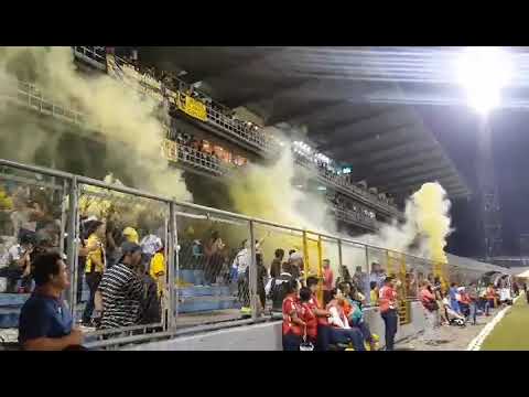 "MEGA LOCOSðŸ–¤ðŸ’›ðŸ˜Ž" Barra: Mega Barra &bull; Club: Real España