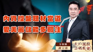 內資控盤題材當道 愛美麗儲能多關注｜大戶羅盤籌碼動能 ｜謝宗霖 (圖)