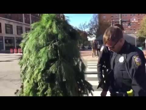 BLOCKING TRAFFIC DRESSED AS A TREE (ARRESTED)!!!