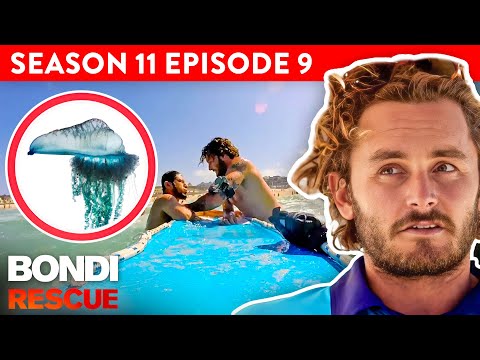 Jellyfish Attack Throws Rescue Into Chaos - Bondi Rescue Full Episode S11 EP9 (OFFICIAL UPLOAD)