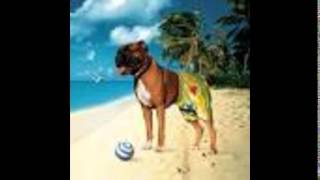 jack shit george ian dury