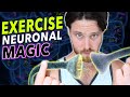 A NEW WAY Exercise Is Magic For Brain Longevity Adult Born Neurons