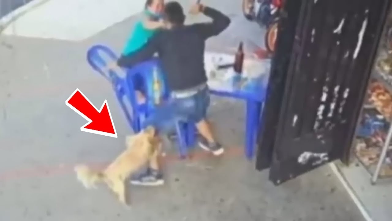 強盗は女性からバッグを奪おうとしました。誰が助けに駆け付けるか知りもせずに！