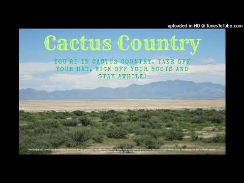 Rex Allen - Loaded Pistol, Loaded Dice