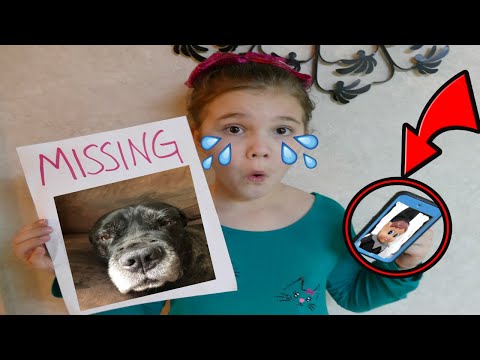 My Dog Is Missing! Mean Elf On The Shelf Took My Dog?!?! How To Stay Home From School Video