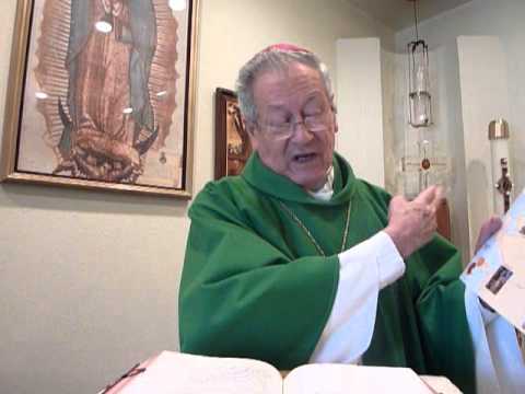 Homily 11/19/12