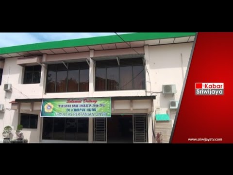 Harga obat untuk meningkatkan potensi Bagaimana meningkatkan rumah penis
