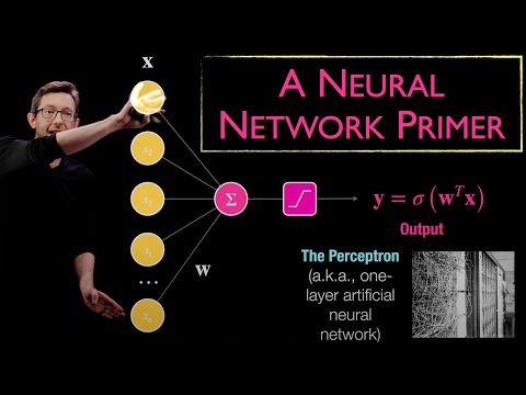 A Neural Network Primer