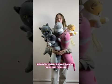 Кот батон 110 см с объемной мордочкой 3Д 3D мягкая игрушка антистресс подушка плюшевый котик обнимашка серый - фото 1 - id-p2163878406