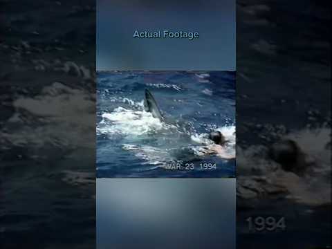 Great White Shark Attack Caught on Camera | Shark Attack Files