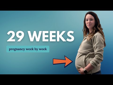 29 Weeks Pregnant 🤰 What to Expect: Changes for You & Baby Movement and Development