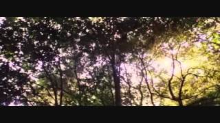 Cuestión de honor, Bushido.