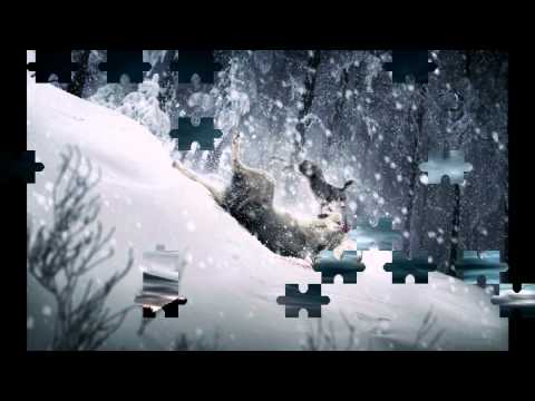 Dj Emycs  - Flying worm