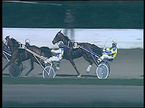 Trotto 27/11/2016 - 7ª corsa