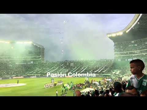 "Hinchada Deportivo Cali" Barra: Frente Radical Verdiblanco &bull; Club: Deportivo Cali &bull; País: Colombia