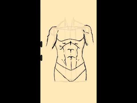 Drawing a male torso Pt.1👌