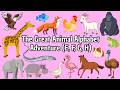 Animal Alphabet Adventure Letters E F G H Learn Move Play
