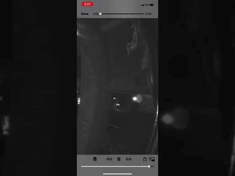 I caught a real ghost on camera