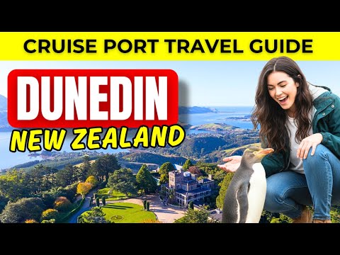 Thumbnail for Dunedin Cruise Port Guide – Penguins, Castles & Coastline Views