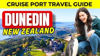 Dunedin Cruise Port Guide – Penguins, Castles & Coastline Views