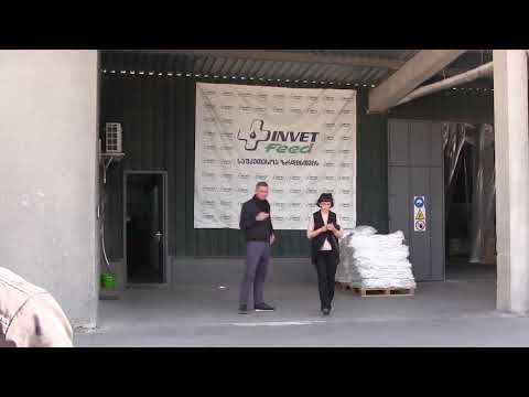 სტუმრად ინვეტ ფიდის საწარმოში