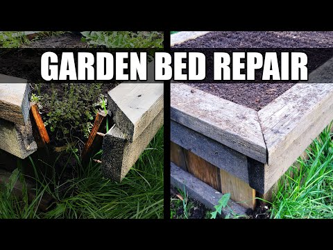 Why Raised Garden Beds Are Better