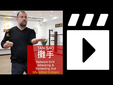Online video VingTsun (Wing Chun) Tan Sao Training. "Right Principle, Correct Angle, Padwork"