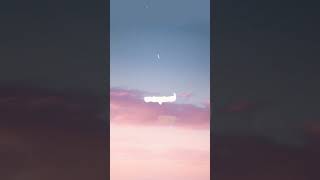 Download lagu cover song honey 🍯 lyric mp3 Download lagu cover song honey 🍯 lyric mp3