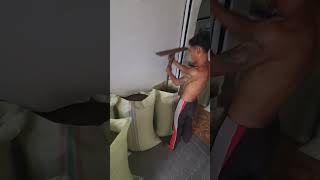 Download lagu HARGA KOPI Panen Tahun 2025 apakah masih sama di tahun 2024? mp3