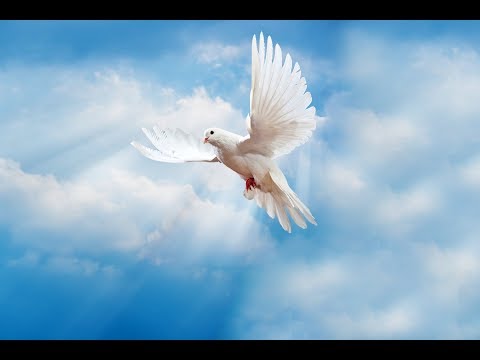 Duhovna obnova: "DOĐI I VIDI" - Ima li patnja smisla? Nela Prvinić svjedočanstvo