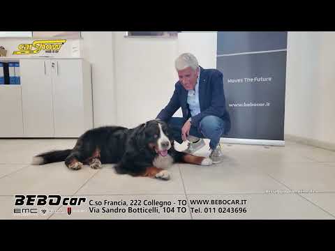 Anteprima video: EMC6 da 17.690 € con 5 anni di garanzia e Hongqi HS3 a 29.900 € | Bebocar Torino