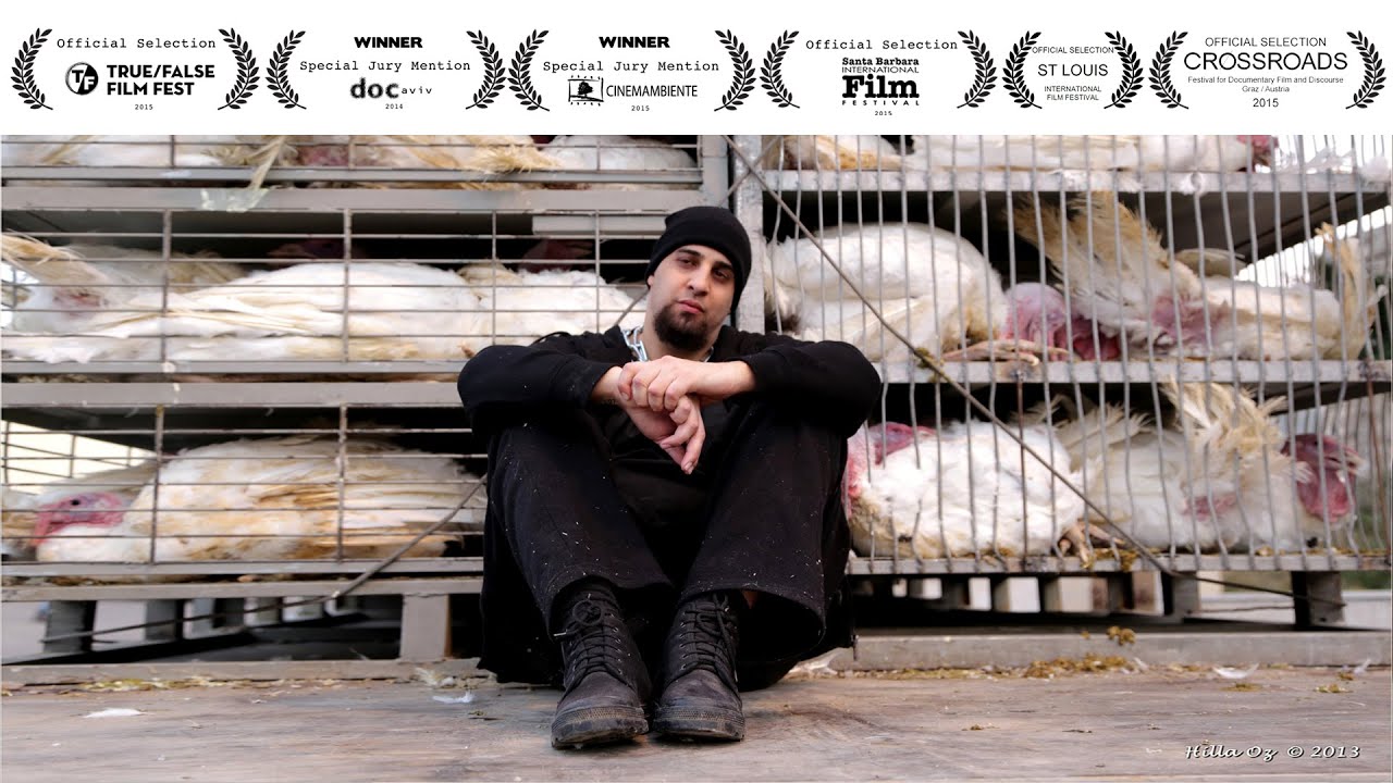 Life According to Ohad - trailer