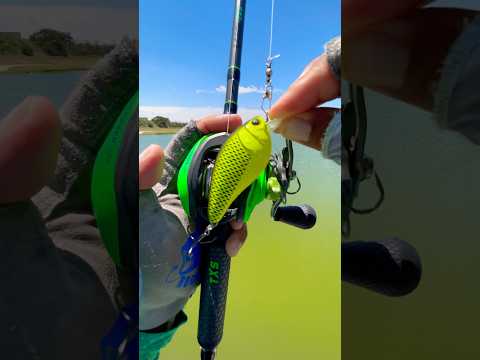 Tips casting a Baitcaster with Crankbait for Bass#fishing#fish#shortvideo#shorts#short#viral#youtube