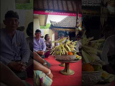 Balinese Wedding at Puri oka #sesetan