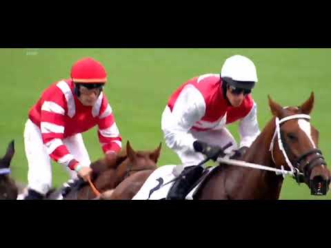 130. Velká Pardubická (11.10.2020)