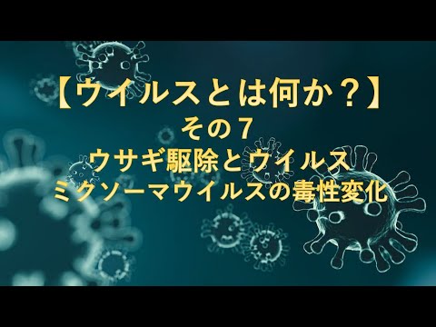 , title : '【ウイルスとは何か？】その7：ウサギ駆除とウイルス〜ミクソーマウイルスの毒性変化'