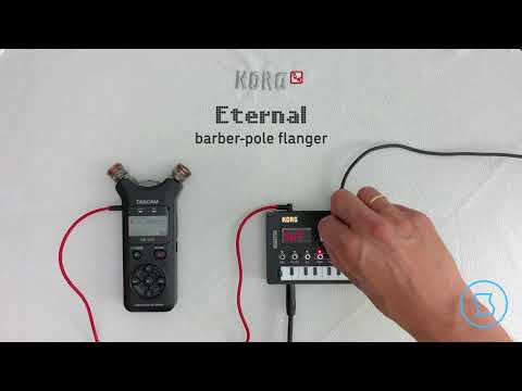 KORG NTS-1 + Sinevibes Eternal