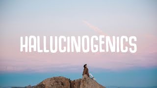 Matt Maeson - Hallucinogenics (Lyrics) Seeb Remix