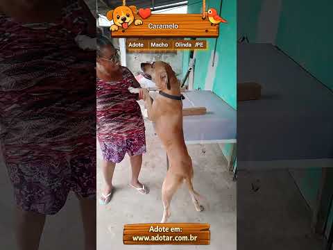 Vídeo de Caramelo 