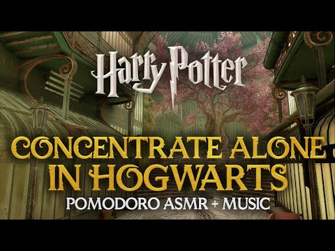 2h Study ALONE in HOGWARTS 👤🏰 Harry Potter Pomodoro Session, Hogwarts ASMR Ambient Sounds Timer
