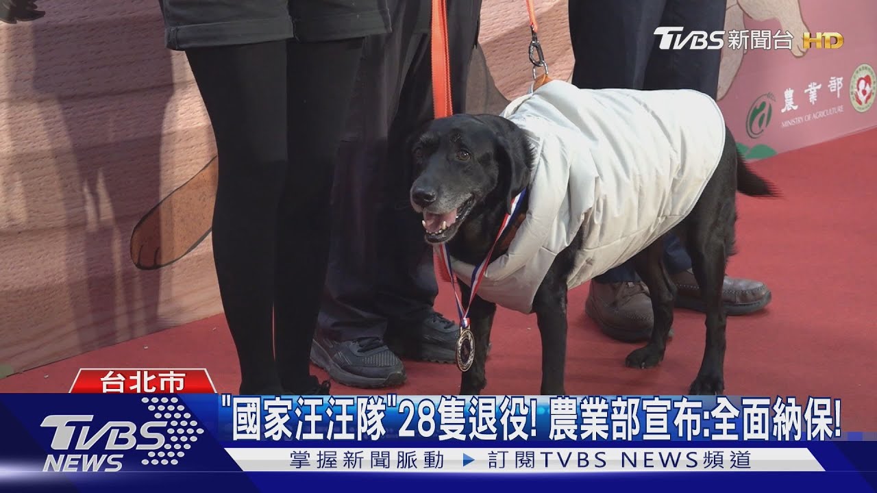 「國家汪汪隊」28支退役！　農業部宣布：全面納保！