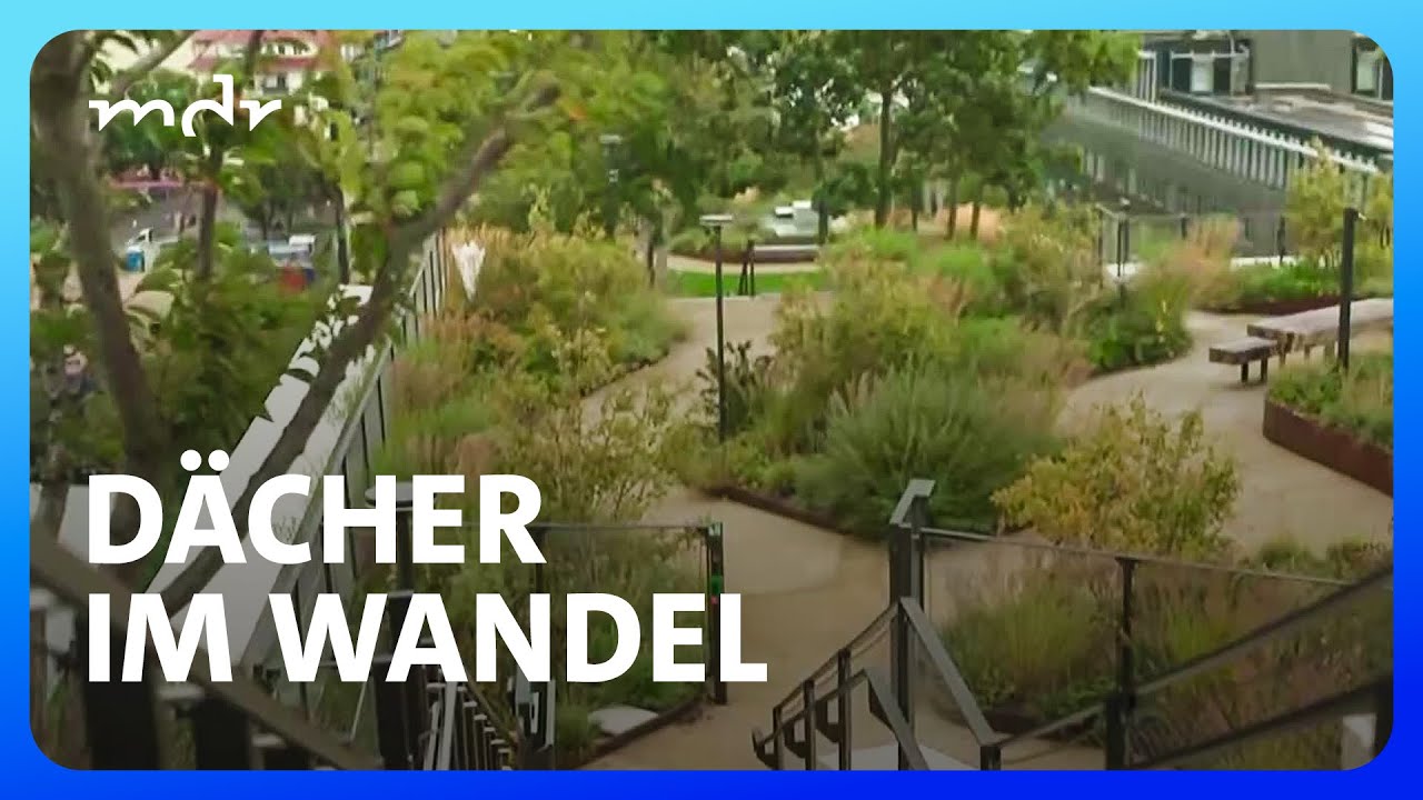 Sportflächen, Gärten oder Begegnungsorte: Belebte Dächer | Umschau | MDR