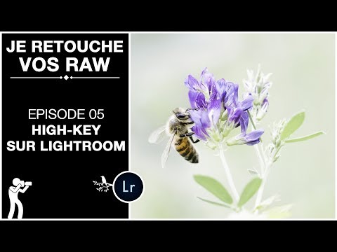 Comment faire un HIGH-KEY sur LIGHTROOM Video