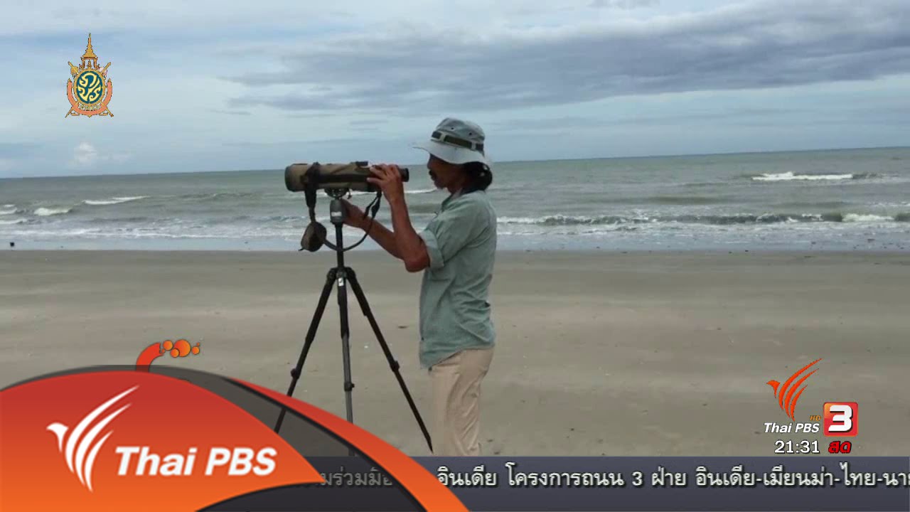 แหล่งดูนกตำบลแหลมผักเบี้ย