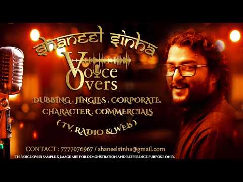 shaneel sinha Voice Demo